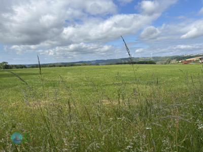 from Luxembourg to Tenneville - Day 2 - from Diekirch to Wiltz