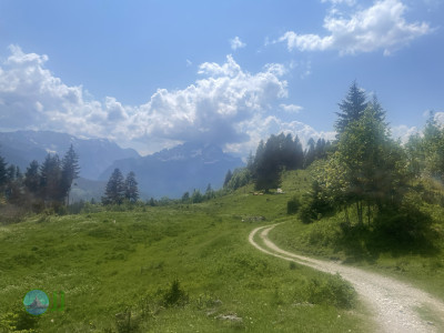 Alpengasthof-Tour