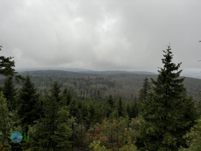 Harzer-Hexen-Stieg - Day 2 - From Torfhaus to Neuwerk