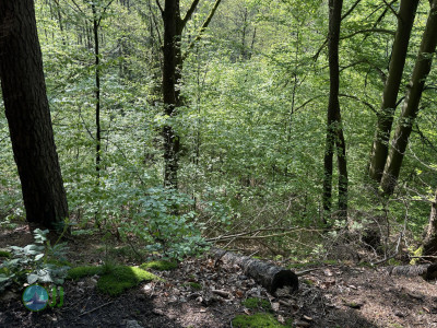 On foot to the Ardennes - Day 2 - From Tiège to Grandmenil