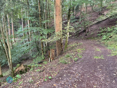 Ahrsteig - Day 1 - From Blankenheim to Schuld