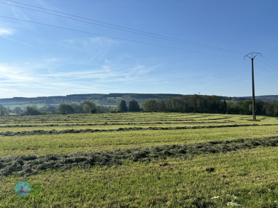 On foot to the Ardennes - Day 3 - From Grandmenil to Roumont
