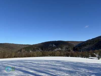 Nideggen - Heimbach loop Hiking (11-01-2025)