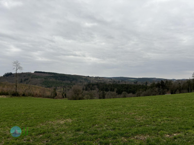 Resting place. – Le long du ruisseau de Cowan loop from Houffalize