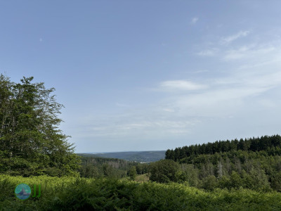 Rursee Runde