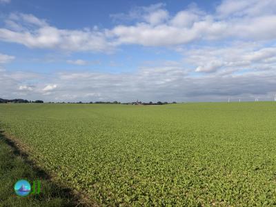 Hückelhoven - Titz loop Hiking (27-09-2025)