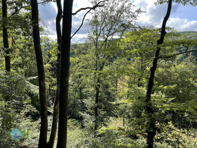Ahrsteig - Day 1 - From Blankenheim to Schuld
