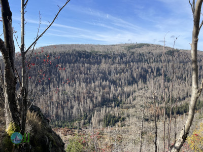 Wanderung nach Die Braunlager Wetterstation