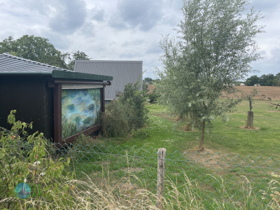 Beeselse Maasronde