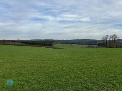 Hike to Brasserie Lupulus