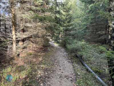 Harz-Tour HWN 20, Holzkirche Elend, 21, 17, 174, 27, 28, 23, 15, 13