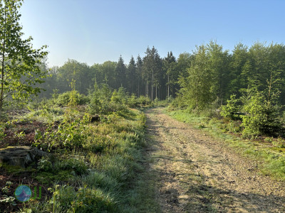 On foot to the Ardennes - Day 1 - From Aachen to Tiège