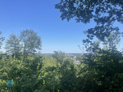 From Pesch to Dülken