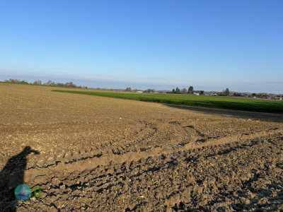 Megamarsch #WirGehenWeiter 2023 Day 2