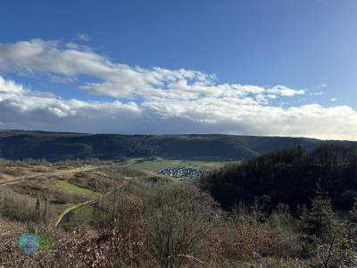 Vriendenweekendtour aan de Mosel