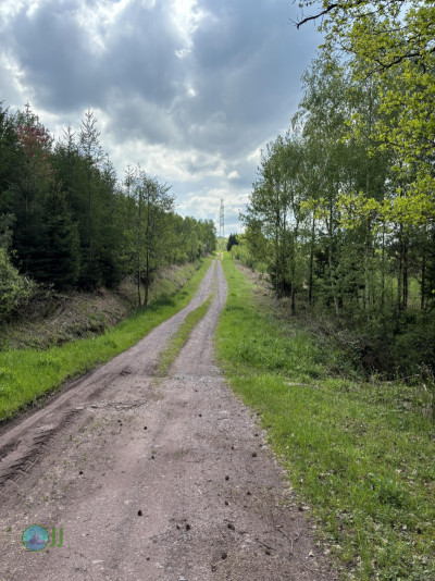 On foot to the Ardennes - Day 2 - From Tiège to Grandmenil