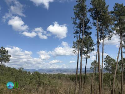Saint-Privat - Ailhon loop Hiking (23-03-2026)