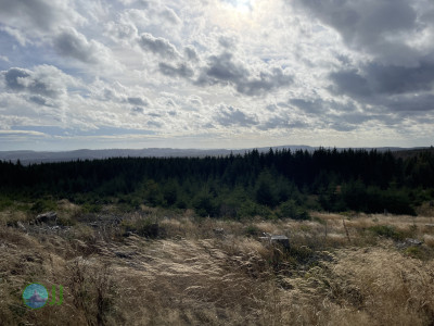 Wurmberg, Elend, Schierke