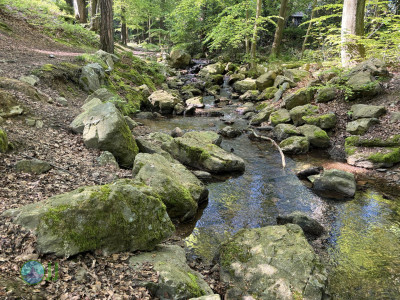 On foot to the Ardennes - Day 2 - From Tiège to Grandmenil