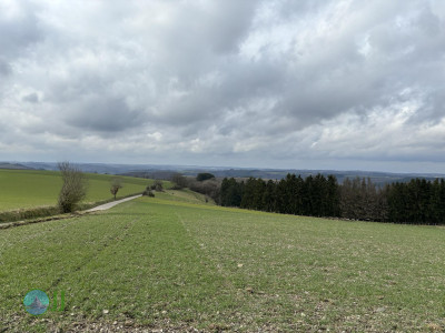 Esch-Sauer – Burgruine mit Turm Runde von Esch-sur-Sûre
