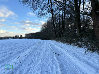Viersen im Schnee