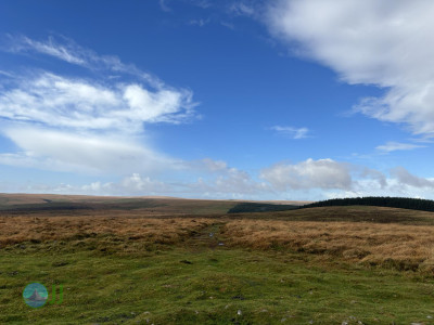 Dartmoor National Park