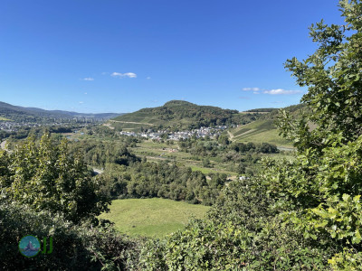 Ahrsteig - Day 3 - From Bad Neuenahr to the Rhine