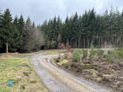 Runde von Bastogne