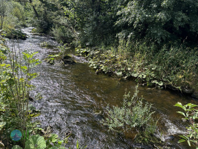 Harzer-Hexen-Stieg - Day 2 - From Torfhaus to Neuwerk