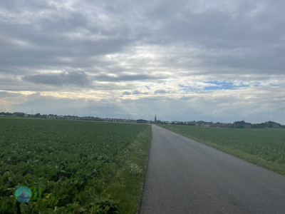Natur in Süd-Viersen