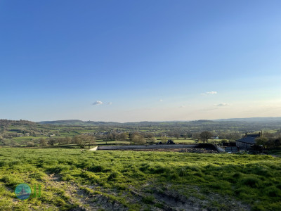Culmstock Beacon – Black Down Hills, loop from Wellington