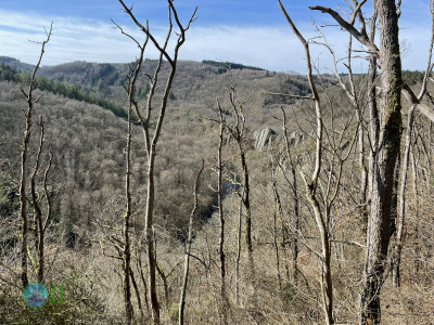 Vallée de l'Ourthe – Rocher du Hérou Runde von Filly