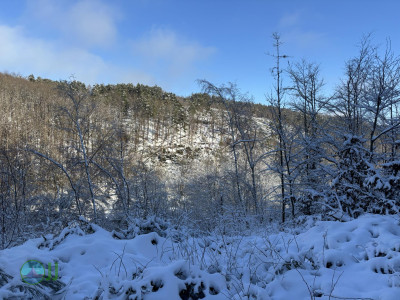 Nideggen - Heimbach loop Hiking (11-01-2025)