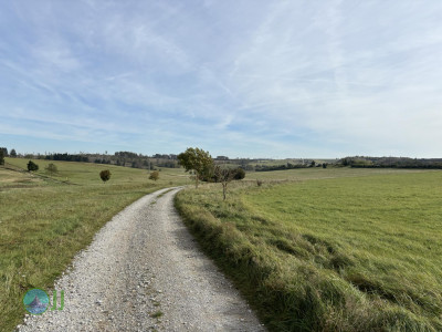 Harz-Tour HWN 39, 38, 37, 32, 31, 34, 35, 36