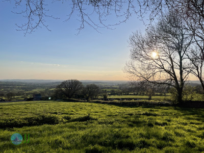 Culmstock Beacon – Black Down Hills, loop from Wellington