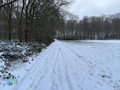 Viersen im Schnee