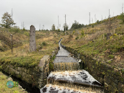 Harz-Tour HWN 135, 149, 134, 132, 133, 221