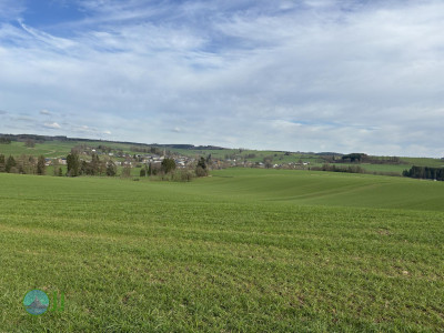 Hike to Brasserie Lupulus