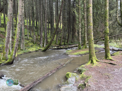 Hike to Chateau de Tavigny