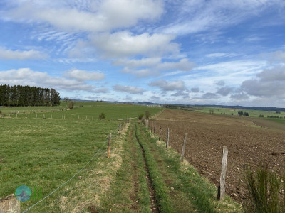 Hike to Brasserie Lupulus