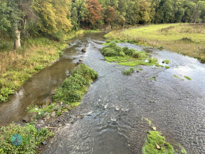 Ahrsteig - Day 1 - From Blankenheim to Schuld