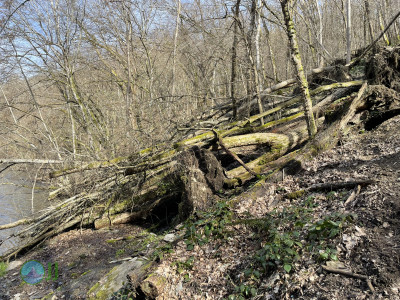 Vallée de l'Ourthe – Rocher du Hérou Runde von Filly