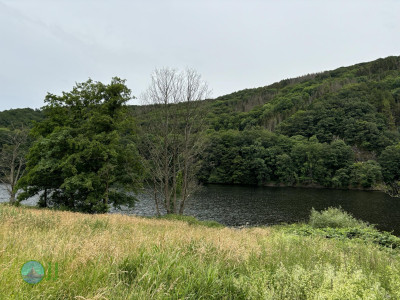Rursee Runde