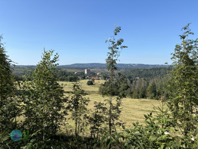Harzer-Hexen-Stieg - Day 1 - From Osterode to Torfhaus