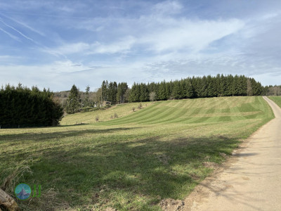 Vallée des Fées Achouffe – Prachtige natuur! loop from Houffalize