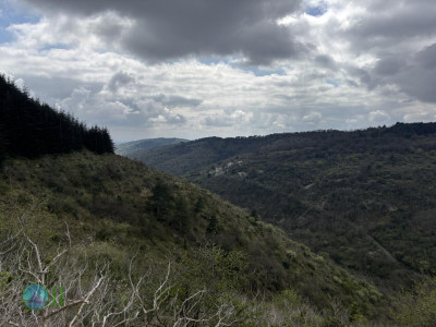 Saint-Privat - Saint-Laurent-sous-Coiron loop Hiking (09-04-2025)