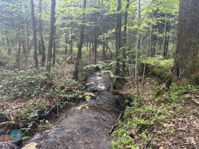 On foot to the Ardennes - Day 2 - From Tiège to Grandmenil
