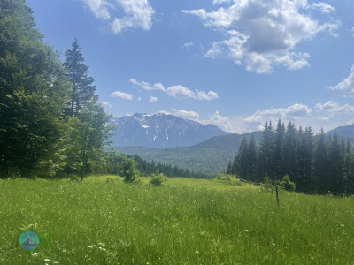 Alpengasthof-Tour