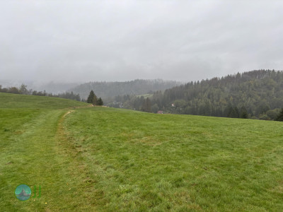 Harz-Tour HWN 135, 149, 134, 132, 133, 221