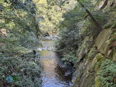 Harzer-Hexen-Stieg - Day 3 - From Neuwerk to Thale